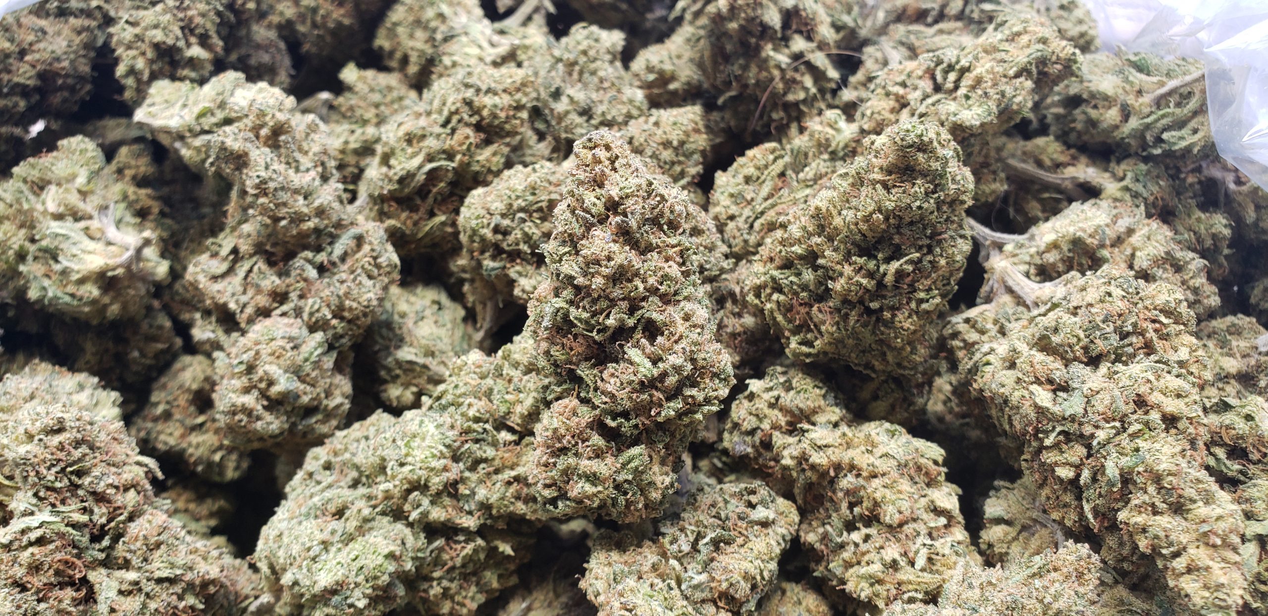 weed delivery