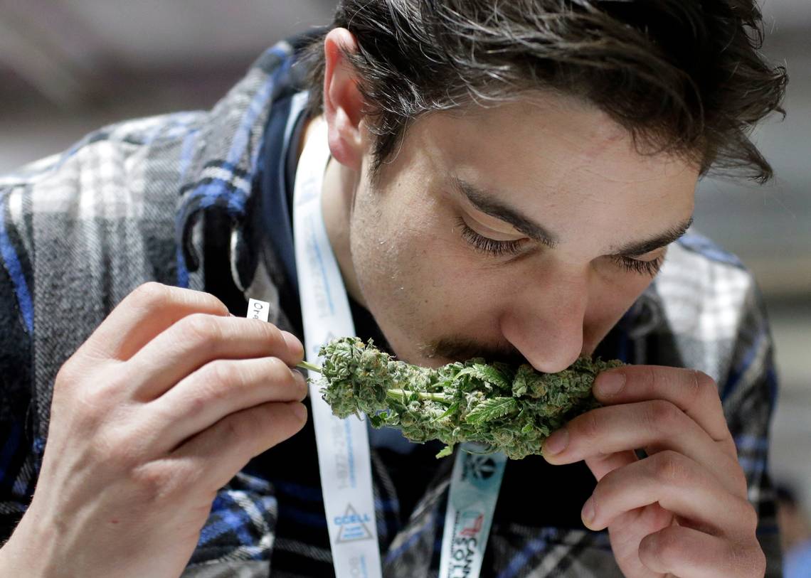 toronto cannabis delivery